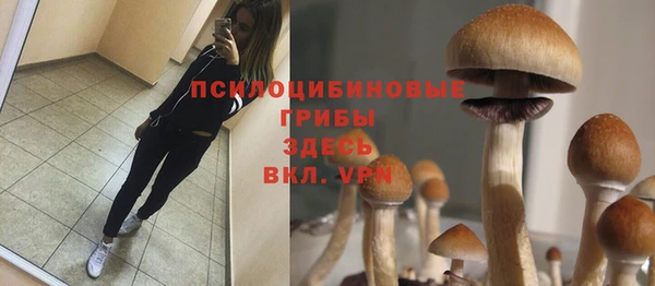 PSILOCYBIN Алзамай