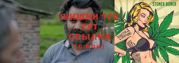 PSILOCYBIN Алзамай